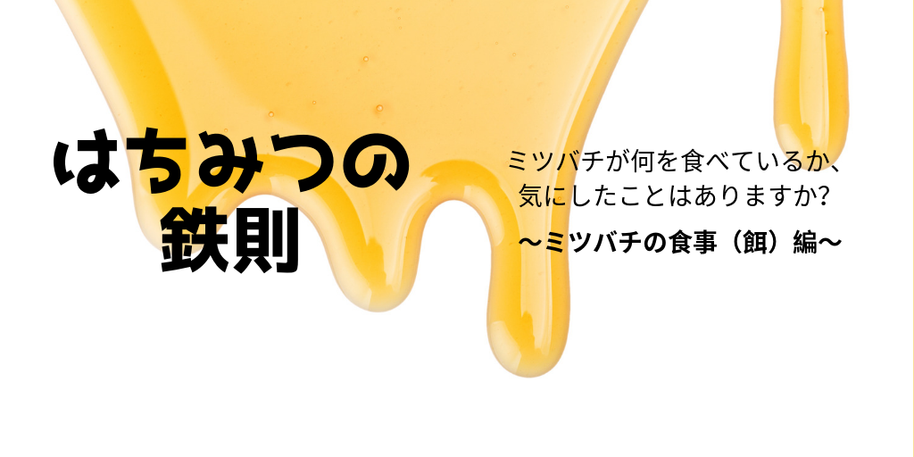 ミツバチの食事 餌 事情 ネイチャーギフト ミツバチの食事 餌 事情 ネイチャーギフト